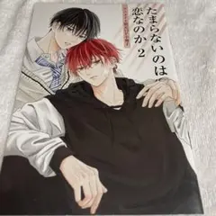 たまらないのは恋なのか 2巻 小冊子 のみ