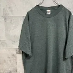 90s USA製 フルーツオブザルーム ビンテージ 無地シングルステッチ XL