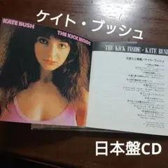 ケイト・ブッシュ THE KICK INSIDE 日本盤CD　天使と小悪魔