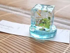 レジンアート☆アクアリウムキューブ　めだか　オブジェ　ハンドメイド