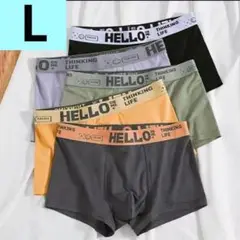 【新品】L メンズ ボクサーパンツ 5枚組 吸汗速乾 抗菌防臭 アンダーウェア