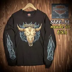USA製 harley-davidson バッファロースカル　ロンT フレイム