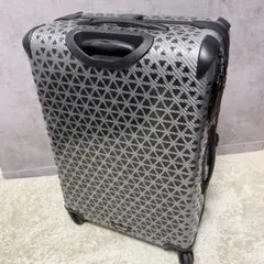 希少✨ TUMI トゥミ キャリーケース インターナショナル シルバー系