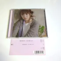 藤田麻衣子 / 思い続ければ