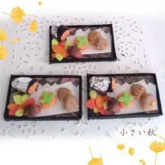 ミニチュアフード・小さい秋