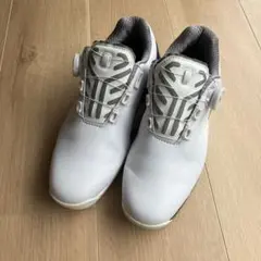 BRIDGESTONE GOLF ゼロ・スパイク バイター ツアー　25.0cm