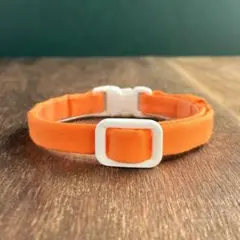 Item thumbnail for item 38911ad5-8a47-4568-a141-fb62673d6f74