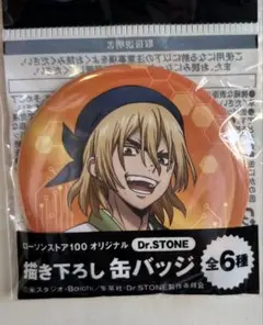 ローソン100 Dr.STONE 缶バッジ　七海龍水