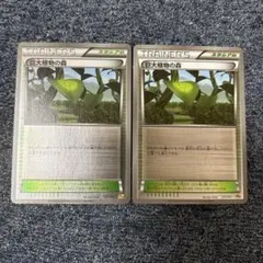 【希少】ポケモンカードXY 巨大植物の森3枚セット