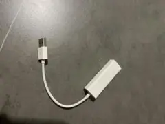 国内正規品 アップル LAN ケーブル