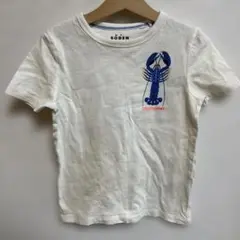 Boden ロブスター Tシャツ 5-6Y