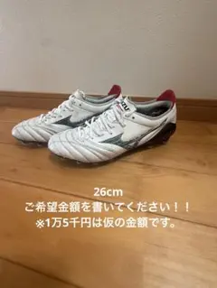 モレリアネオ 26cm