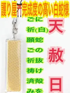 蛇の抜け殻✨スティック✨縦長✨白蛇のお守り【天赦日,定期的ご祈祷済み】金BF