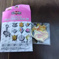 全スーパー戦隊展 トレーディンググリッターアクリルキーホルダー パトレンジャー