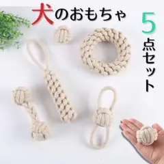 引っ張りロープ 犬用 おもちゃ ペット 5点セット ペット用品　噛むおもちゃ