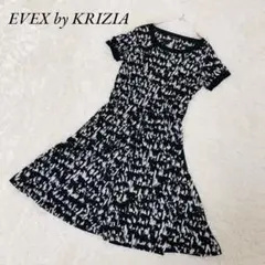EVEX by KRIZIA エヴェックス ワンピース 洗える 40 総柄 半袖