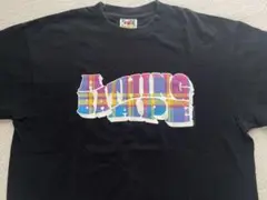 A Bathing ape Bape エイプ カレッジロゴ 半袖Tシャツ