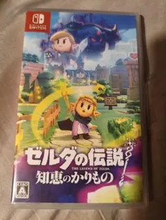 ゼルダの伝説 知恵のかりもの Nintendo Switch