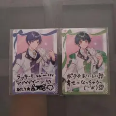 如月ゆうこったろ　VOISINGチップス2点セット