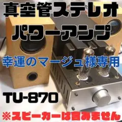 【動作確認済】【EK JAPAN】【TU-870】真空管ステレオパワーアンプ 2025年最新】tu-870の人気アイテム - メルカリ