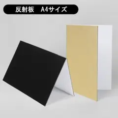 Item thumbnail for item 58527a14-1362-4d23-9f56-8e80b12dc3d4