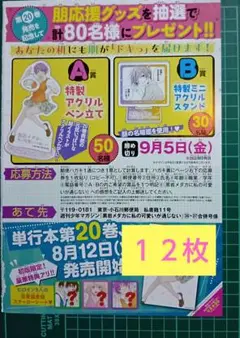 １２枚　応募券「黒岩メダカに〜」アクリルスタンド など　抽プレ　少年マガジン