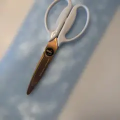 Item thumbnail for item 6a9446ff-eb28-45f3-93b4-9d89763e6728