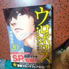 うろぼロス20巻
