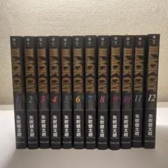 BLACK CAT 全12巻セット (集英社文庫(コミック版))