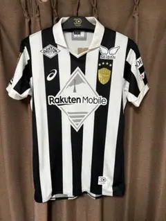 Item thumbnail for item 02f0c572-1f4c-4a47-ba2f-4faf61426c58