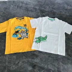 【未使用・タグ付】　オシュコシュビゴッシュ　Tシャツ2枚　サイズ100