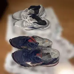 ジャンク品Mizuno シューズ グレーReebok CLASSIC 28センチ