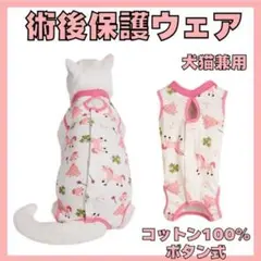 Item thumbnail for item 500d26af-d01b-476e-9119-59b764f076b3