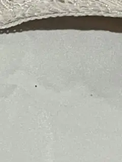 ホワイト　スキニー