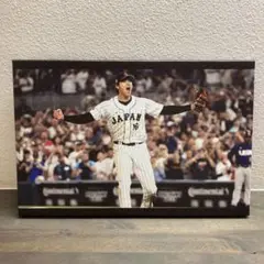 大谷翔平　WBC パネル