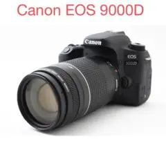 Item thumbnail for item 2beabd5d-5d71-48eb-8973-f7192702482e
