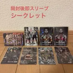 【シークレット有り】RIZIN ポテトスティック ポスターカードコレクション