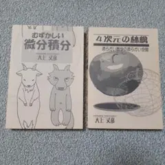 むずかしい微分積分 4次元の林檎 柔らかい数学の柔らかい空間 ⚠️カバー無し