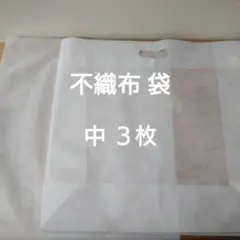 不織布 袋 ３枚 （バッグ型１枚&マチなし袋２枚）