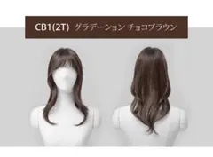 Item thumbnail for item 41cb696f-ed4c-496d-bb4e-129e26d57d3a