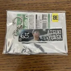 湯浅京己 2025 阪神タイガース シークレットビジョンキーホルダー