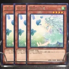 2795 遊戯王 裏風の精霊