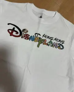 Disney 香港ディズニーランド Tシャツ 限定Tシャツ　刺繍　ディズニー