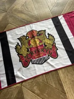 FC琉球 スポーツタオル