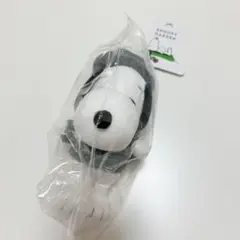 スヌーピーフェスティバル　スヌーピーガーデン　マスコット　キーリング
