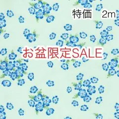 お盆限定SALE 2m ネモフィラ グリーン オックス