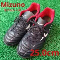 ミズノ　モナルシーダ　トレシュー　25cm　内側修復あり