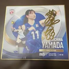 山田二千華 バレーボール女子日本代表2025 mini色紙 箔押しサイン