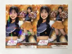 【善はるな】BBM 2024 チア 巨人 パラレル版 2枚セット