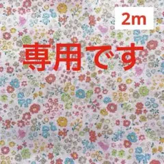 Item thumbnail for item 92f0f6c1-d0b3-4389-bf6f-1e1d27d8d319